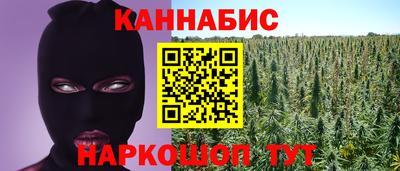 прущие грибы Северобайкальск