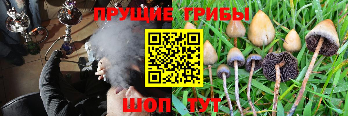 Псилоцибиновые грибы MAGIC MUSHROOMS Октябрьский