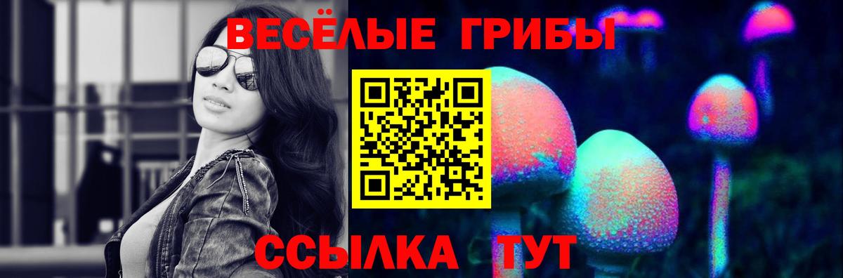 Псилоцибиновые грибы Cubensis  Псилоцибиновые грибы MAGIC MUSHROOMS  Октябрьский  Вход с VPN 